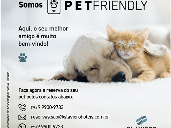 card-pet-friendly-slaviero hoteis_scpi.png