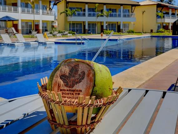 scpi - coco personalizado (5).jpg