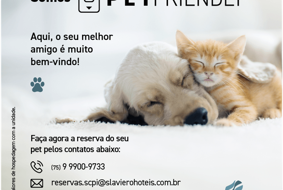 card-pet-friendly-slaviero hoteis_scpi.png