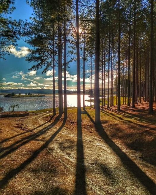 park.jpg