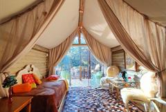 Tenda Glamping Luxo