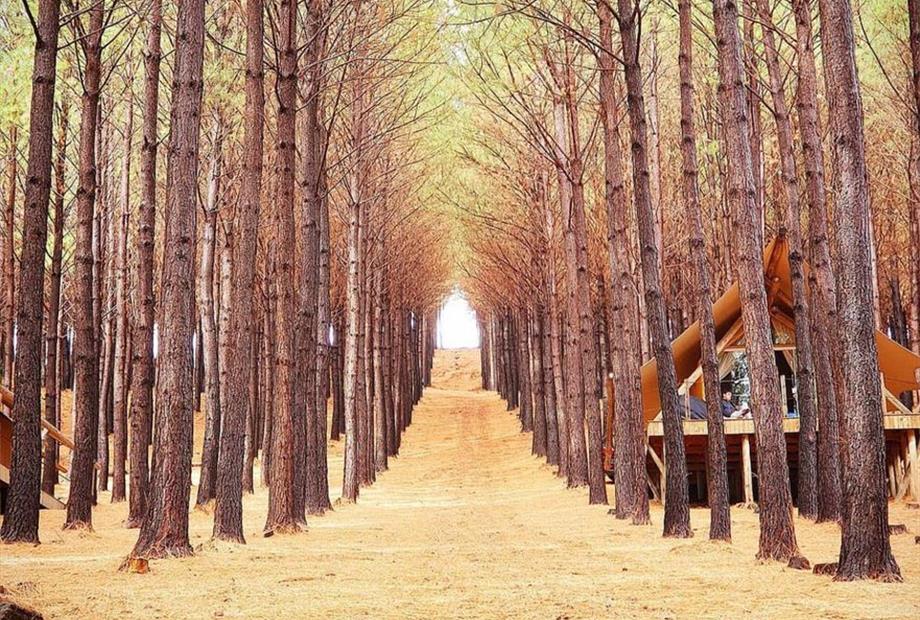 whatsapp image 2023-06-15 at 23.04.04 (3).jpeg