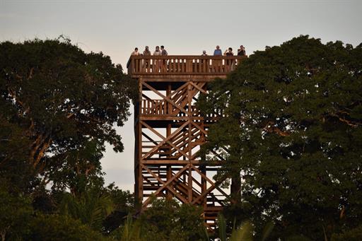 torre de observação (4).jpg