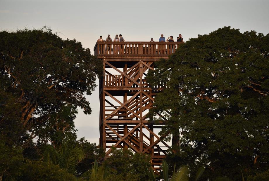 torre de observação (4).jpg