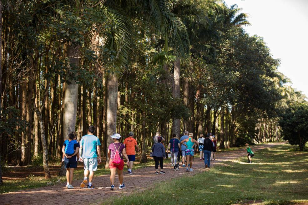 caminhada 1.jpg