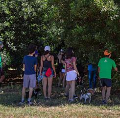 caminhada macadâmia-1.jpg