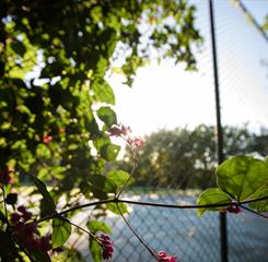 quadra de tênis.jpg