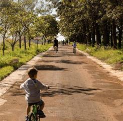 bicicletas 6_easy-resize.com.jpg