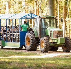 passeio de trator 2.jpg