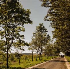 passarela hangar 2.jpg