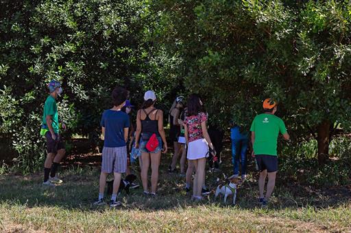 caminhada macadâmia-1.jpg