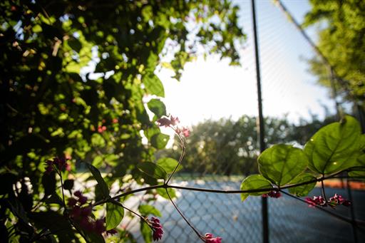 quadra de tênis.jpg