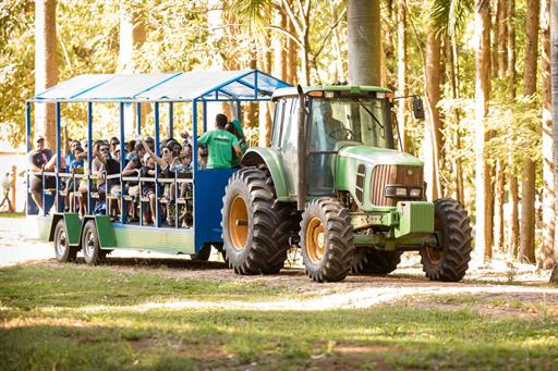 passeio de trator 2.jpg