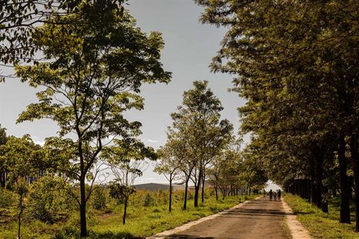 passarela hangar 2.jpg