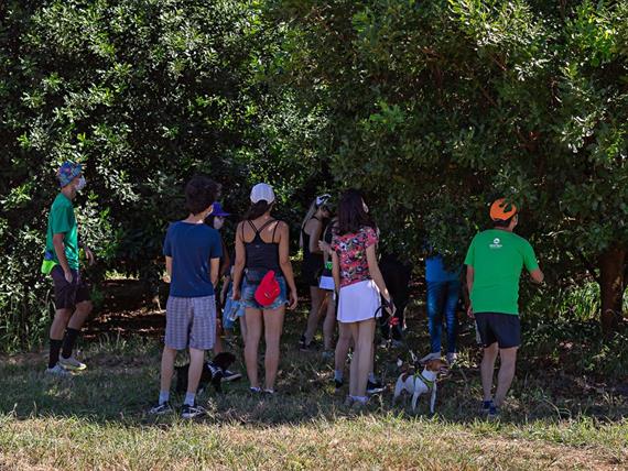 caminhada macadâmia-1.jpg