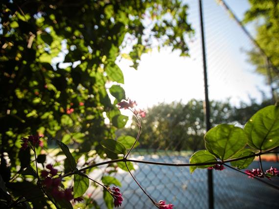 quadra de tênis.jpg