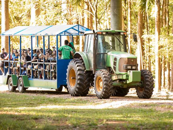 passeio de trator 2.jpg
