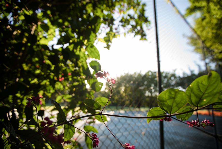 quadra de tênis.jpg