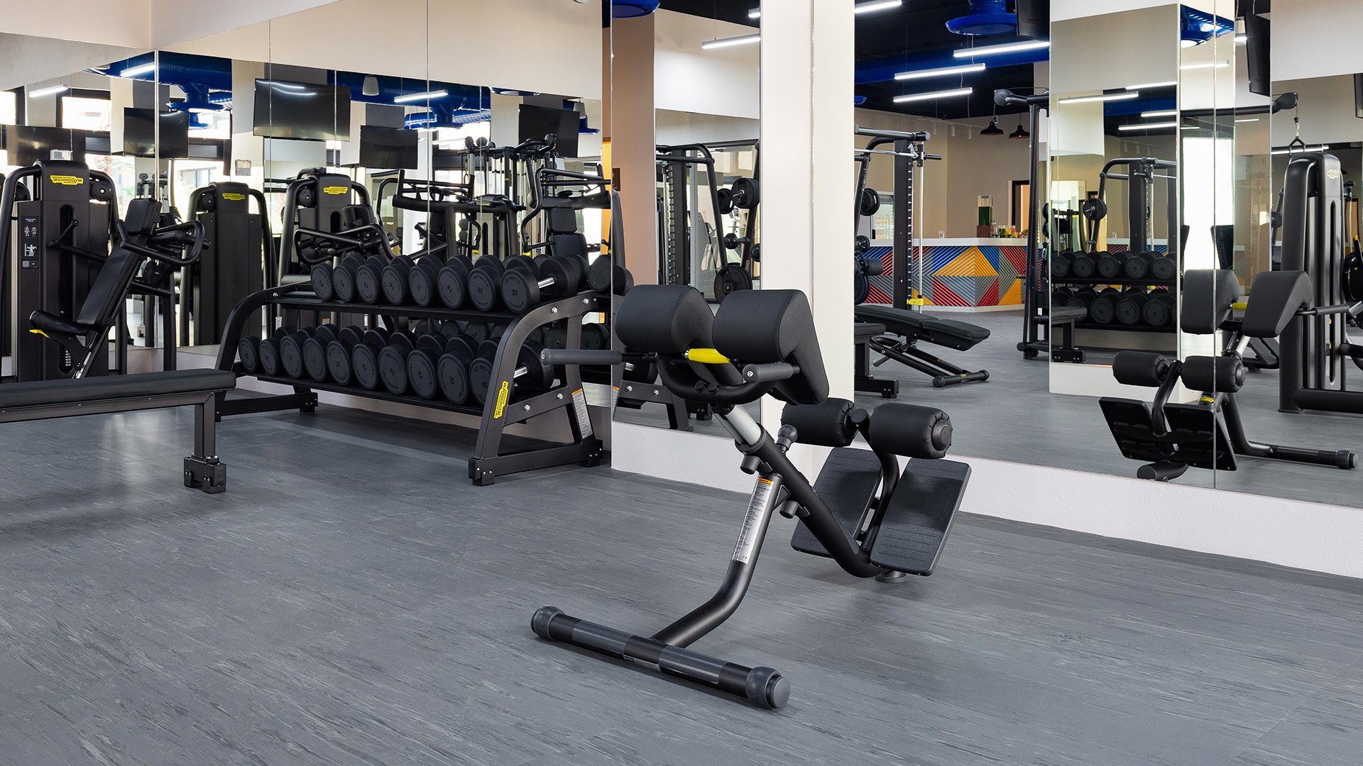 gym-6.jpg