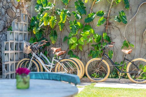 whatsapp image 2023-03-14 at 09.15.58 (5).jpeg