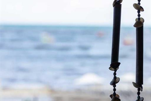 whatsapp image 2024-05-10 at 11.38.24.jpeg