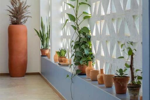 whatsapp image 2024-05-10 at 11.38.55 (1).jpeg