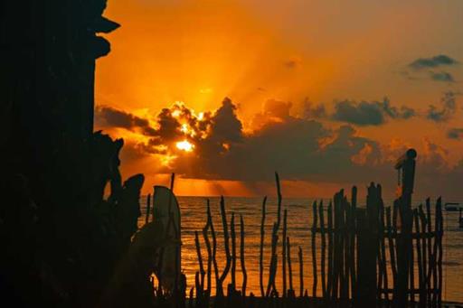 whatsapp image 2024-05-10 at 11.37.15 (1).jpeg