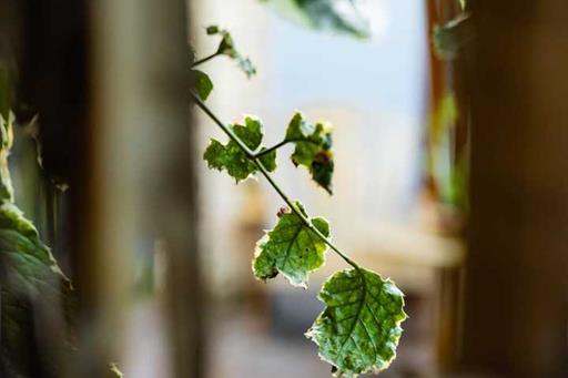 whatsapp image 2024-05-10 at 11.38.16 (1).jpeg