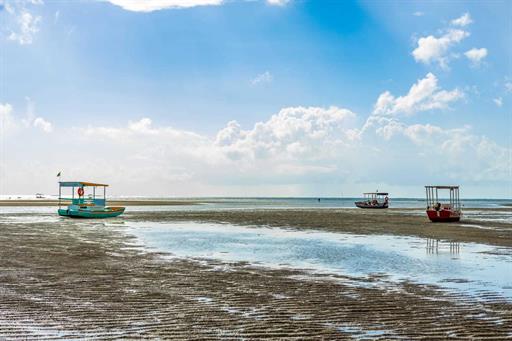 whatsapp image 2024-05-10 at 11.39.01 (1).jpeg