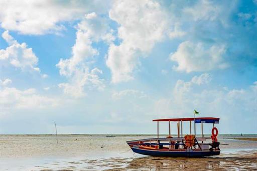 whatsapp image 2024-05-10 at 11.39.02.jpeg