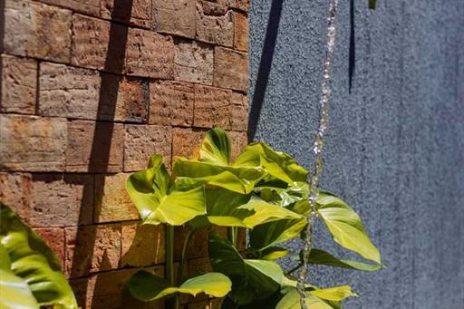 whatsapp image 2024-05-10 at 11.38.52.jpeg