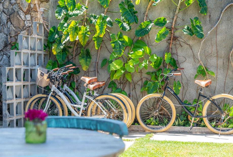 whatsapp image 2023-03-14 at 09.15.58 (5).jpeg