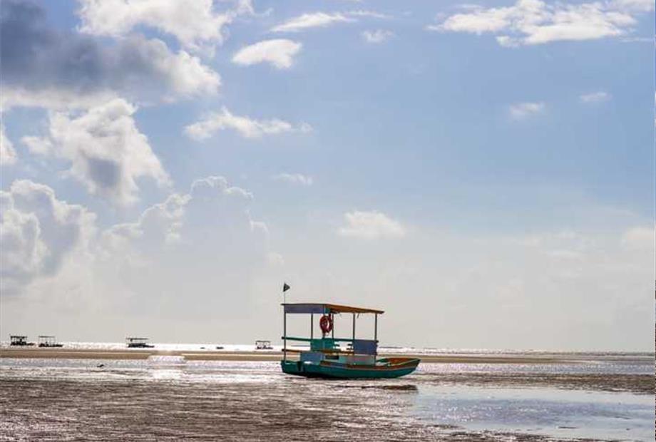 whatsapp image 2024-05-10 at 11.39.00.jpeg