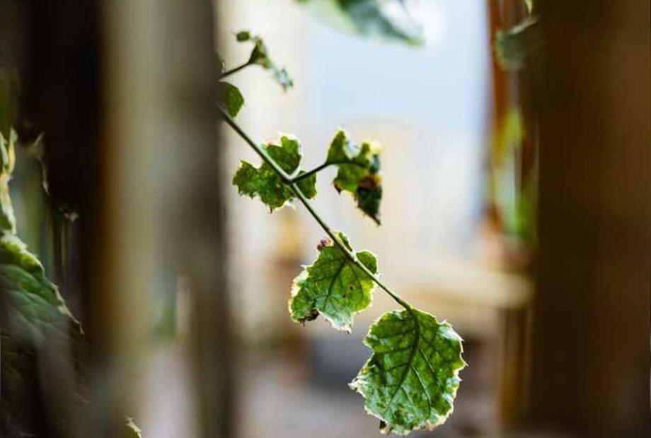 whatsapp image 2024-05-10 at 11.38.15.jpeg