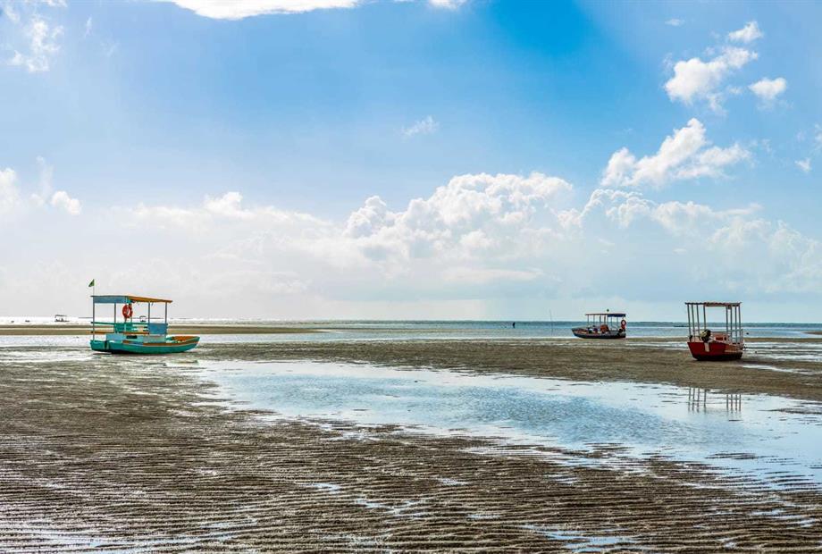 whatsapp image 2024-05-10 at 11.39.01 (1).jpeg