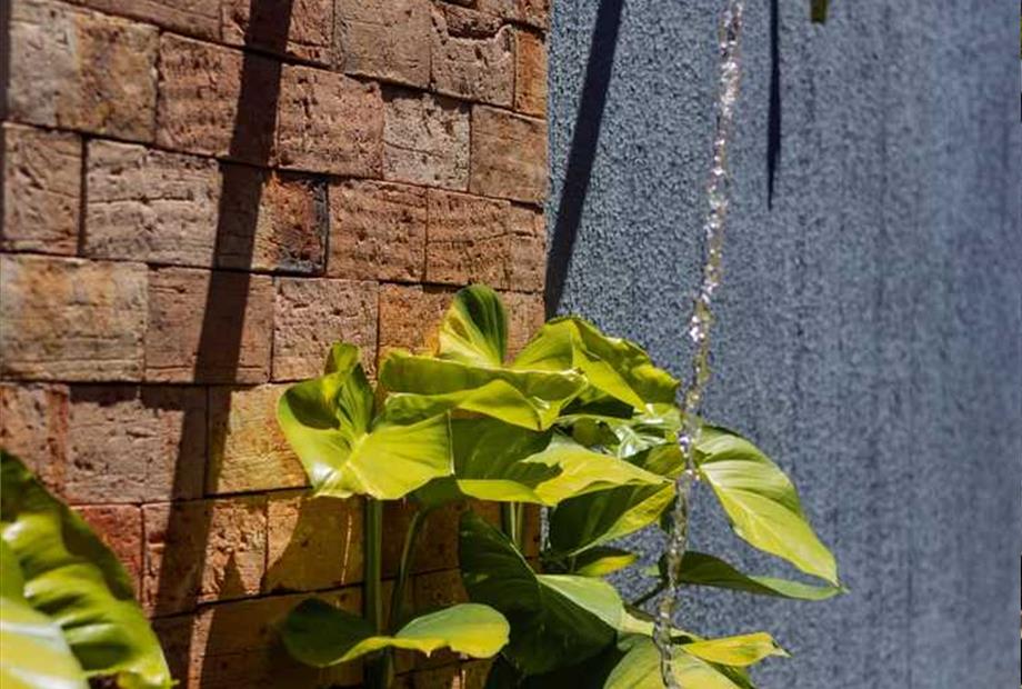 whatsapp image 2024-05-10 at 11.38.52.jpeg