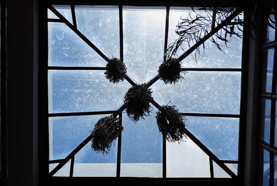 whatsapp image 2024-05-10 at 11.38.55 (2).jpeg