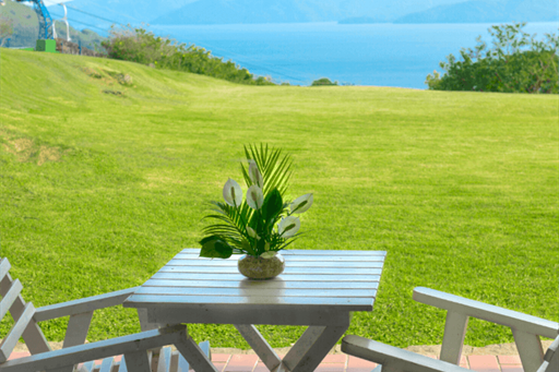 vista varanda standard.png