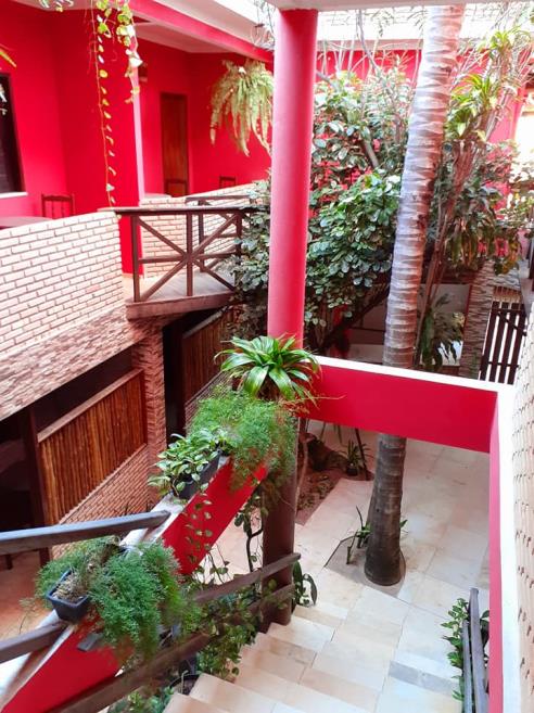 jardim 2.jpg