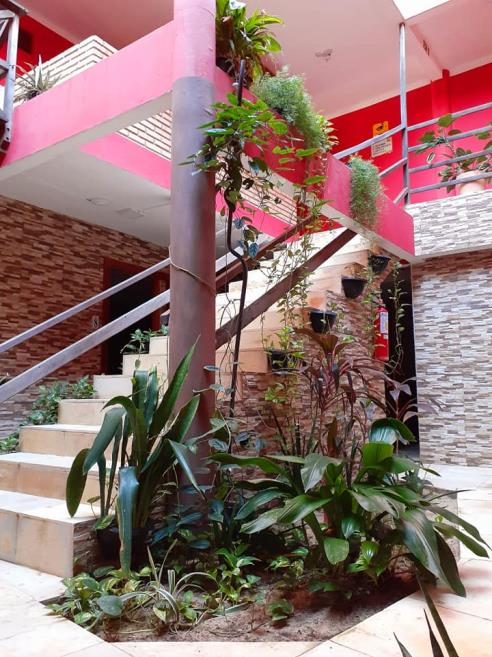 jardim.jpg