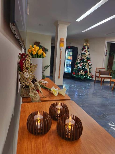 arvore de natal.jpg