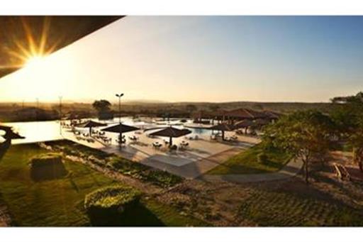 Canarius de Gravatá