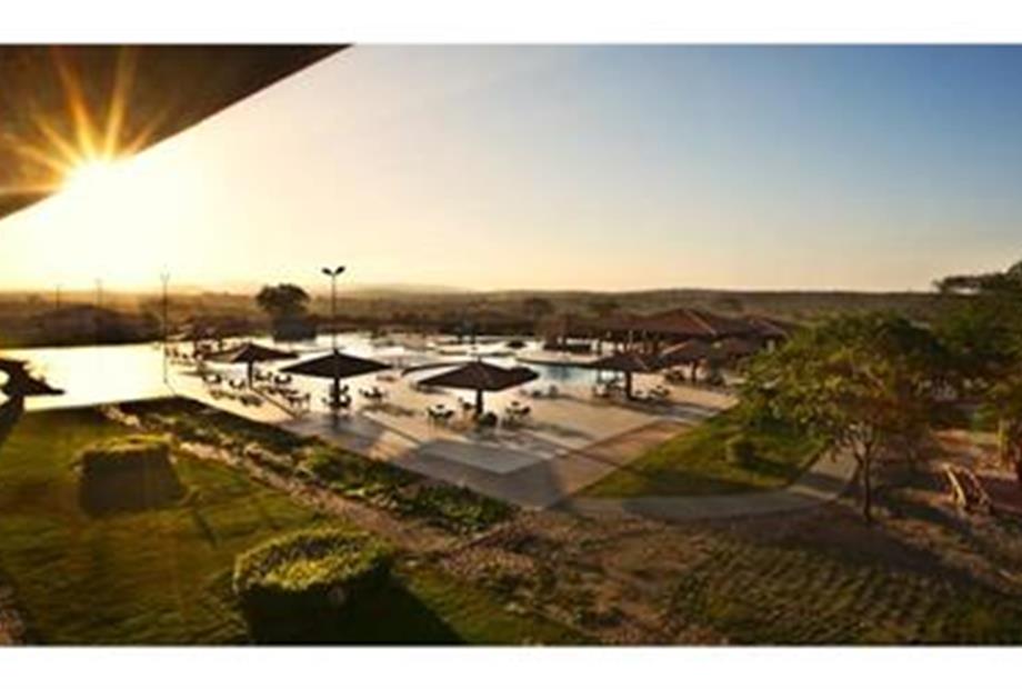 Canarius de Gravatá