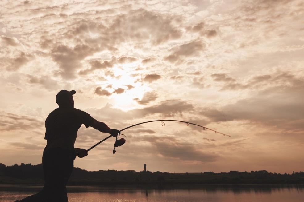 pesca.jpg
