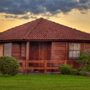 Gato (02) - Villa do Lago