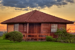 Gato (02) - Villa do Lago