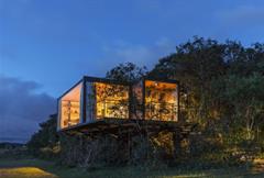 Charles Darwin (24) - Villa do Bosque