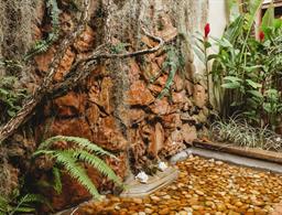 Pousada Villa Bella - Itacaré