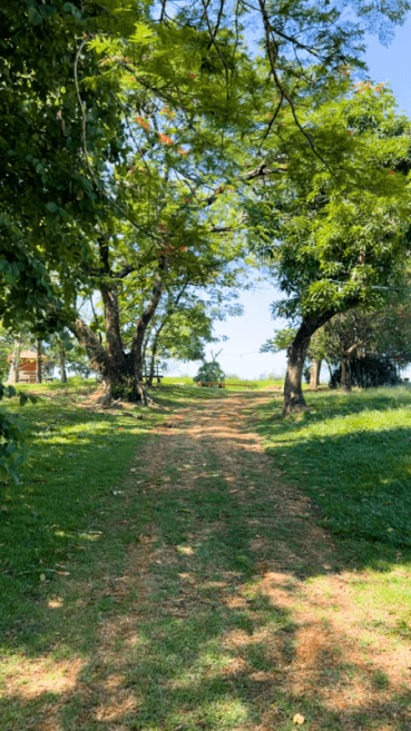 image00002.png