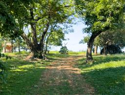 Hotel Fazenda Ararita